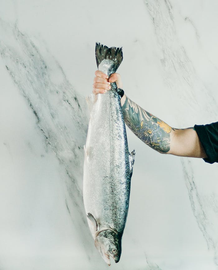 menu-01 A tattooed arm holding a fresh fish against a marble surface, showcasing seafood freshness.